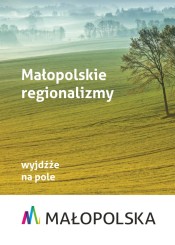 Grafika dotycząca małopolskich regionalizmów.